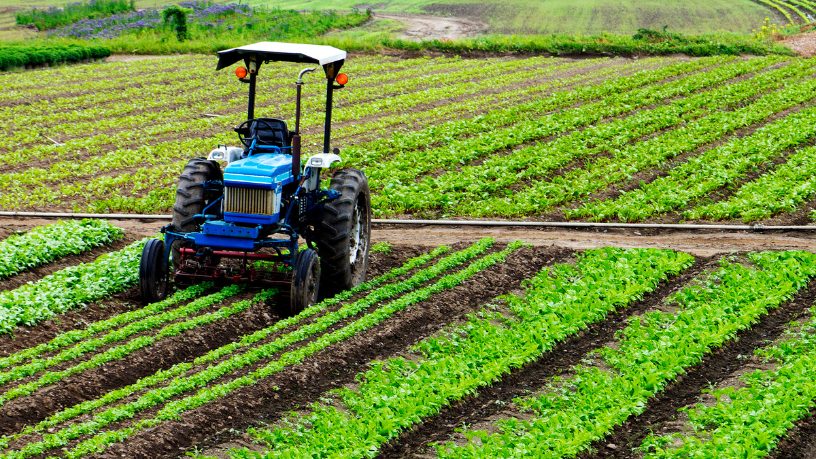 O clima é um fator decisivo no preço global das commodities, destaca Aldo Vendramin em sua análise.
