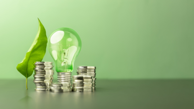 Bráulio Henrique Dias Viana revela como unir sustentabilidade e lucratividade gera valor duradouro para empresas e sociedade.