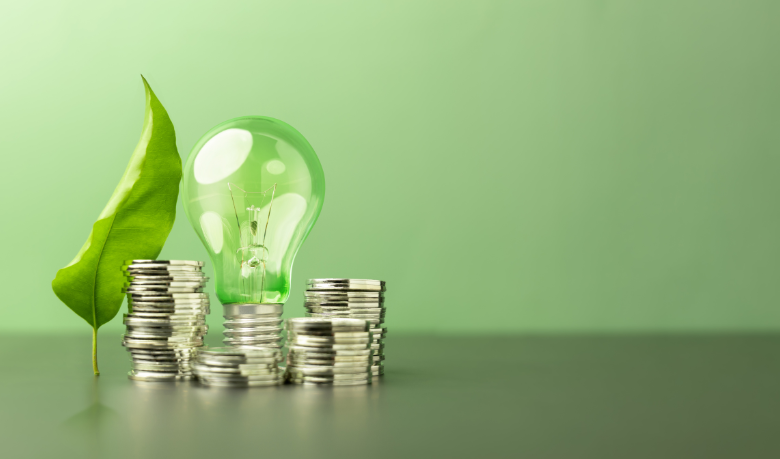 Bráulio Henrique Dias Viana revela como unir sustentabilidade e lucratividade gera valor duradouro para empresas e sociedade.