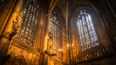 Jose Eduardo Oliveira e Silva explica como a Sagrada Escritura e o Magistério da Igreja caminham juntos na proclamação da verdade.