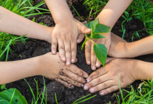 Diohn do Prado explora como hábitos familiares podem transformar a educação ambiental desde casa.