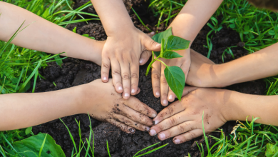 Diohn do Prado explora como hábitos familiares podem transformar a educação ambiental desde casa.