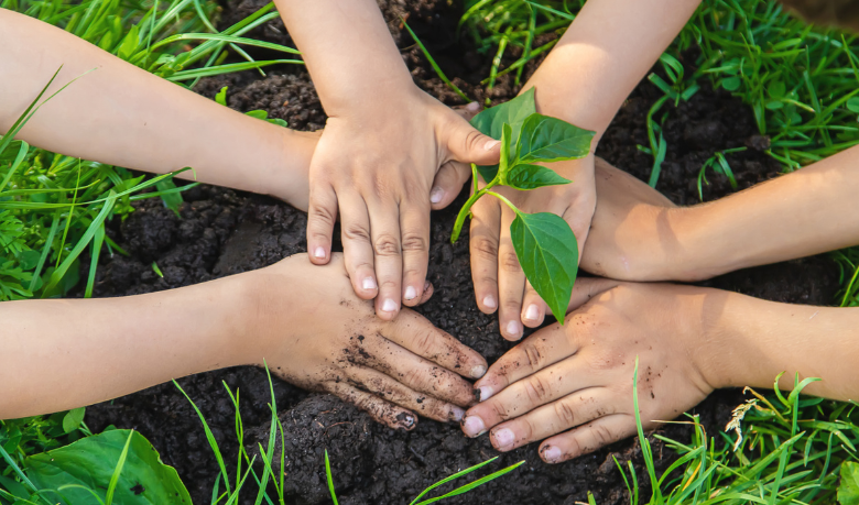 Diohn do Prado explora como hábitos familiares podem transformar a educação ambiental desde casa.