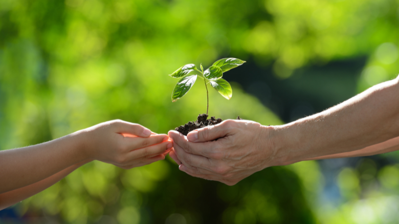 Entenda com Diohn do Prado como pequenas atitudes no lar ajudam a formar cidadãos mais conscientes.