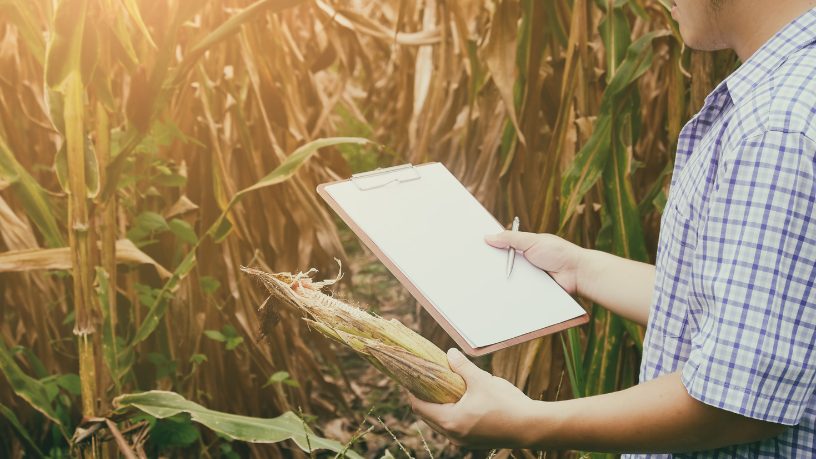 A união entre agronomia, literatura e gestão marca uma liderança construída com experiência, segundo Alfredo Moreira Filho.