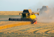 A trajetória que vai da roça à liderança empresarial reflete agronomia e visão de gestão, como destaca Alfredo Moreira Filho.