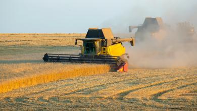 A trajetória que vai da roça à liderança empresarial reflete agronomia e visão de gestão, como destaca Alfredo Moreira Filho.