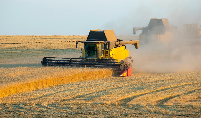 A trajetória que vai da roça à liderança empresarial reflete agronomia e visão de gestão, como destaca Alfredo Moreira Filho.