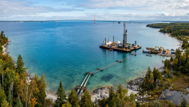 Paulo Roberto Gomes Fernandes