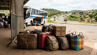 Alfredo Moreira Filho